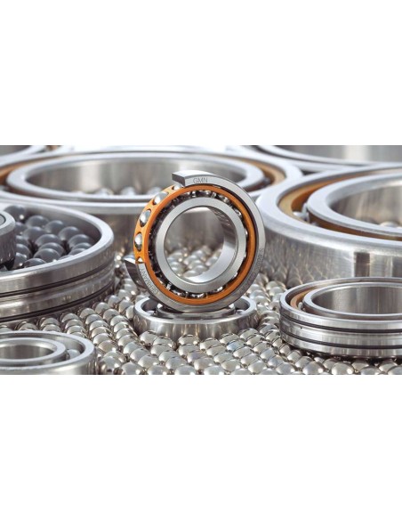 Rolamentos Especiais e Anti-Retorno GMN